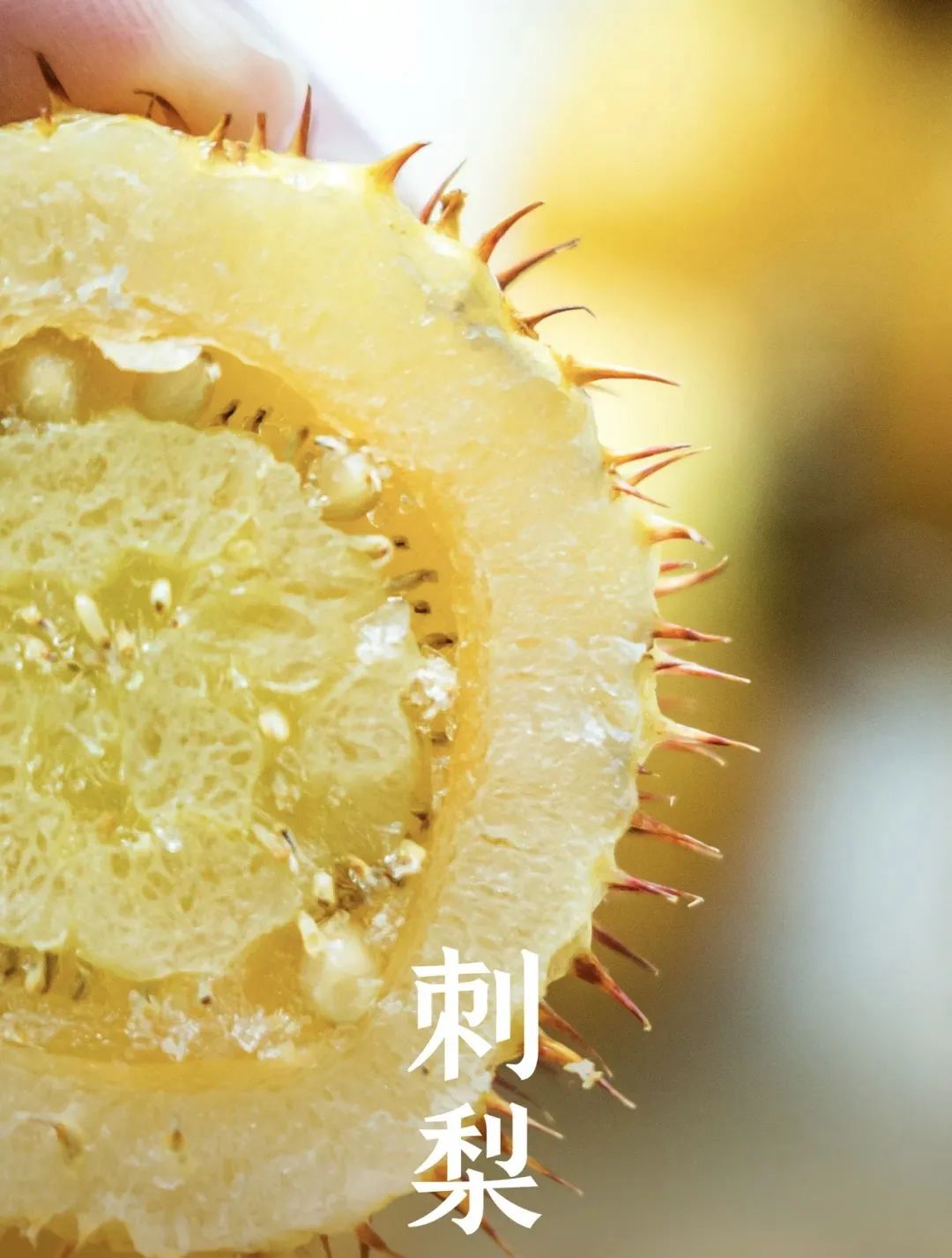 新酿刺梨邀一醉